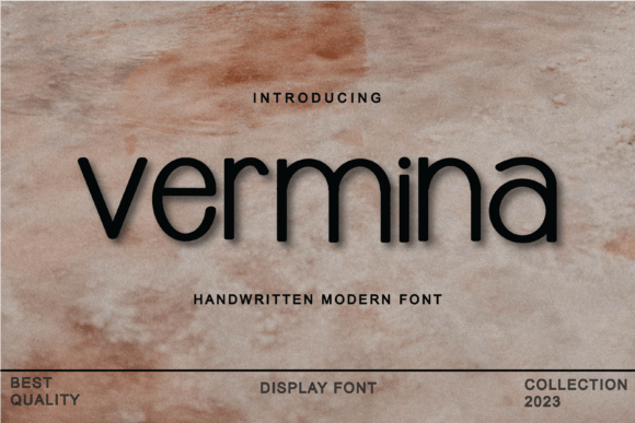 Vermina: A Sleek Modern Typeface for Sophisticated Campaigns