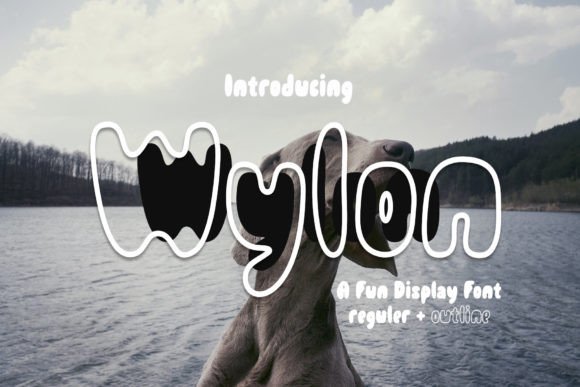 Wylon: A Cheerful Display Font for Playful Brand Identities